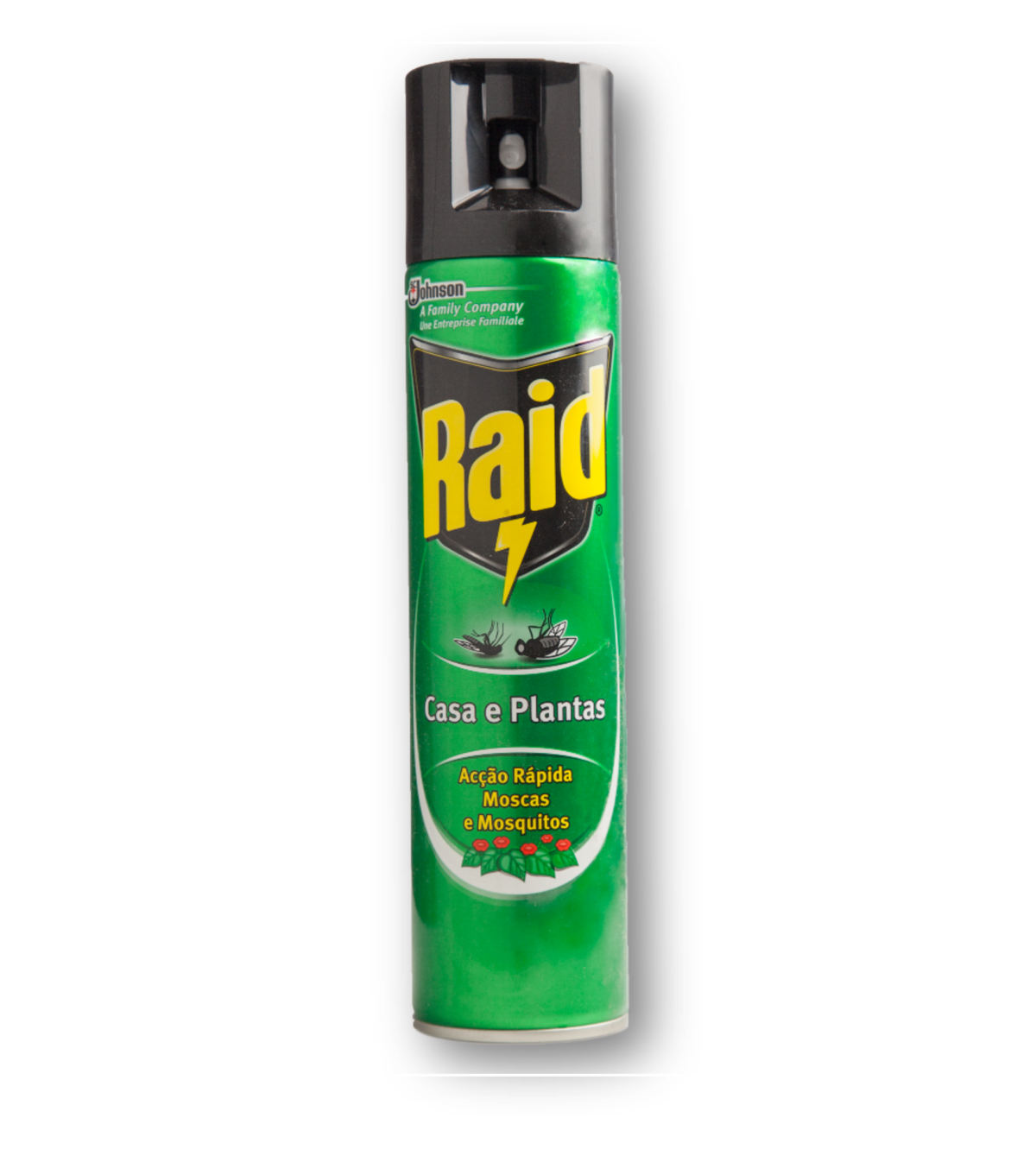 Inseticida Raid casa e plantas - RAID (Spray 400ml)